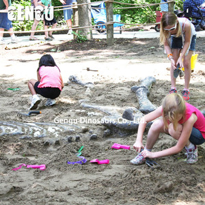 Dinosaur Skeleton Games Durable Metal Toys for School Kindergarten Brazil Supplier