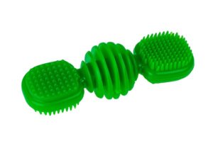 Dent-a-Chew brush dog toy