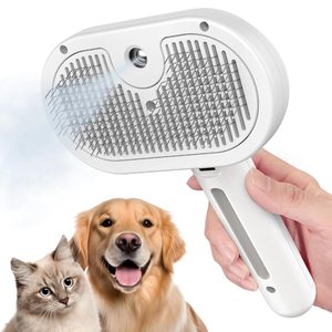 Rechargeable Steamy Spray Brush