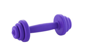 Barbell medium rubber dog toy